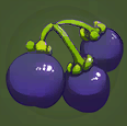 Dragon Berry